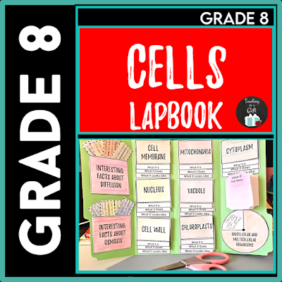 Photo of Grade 8 Cells Interactive Lapbook