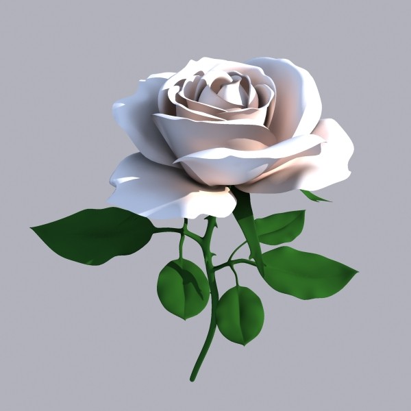 3D Rose Flowers Wallpapers Free Download