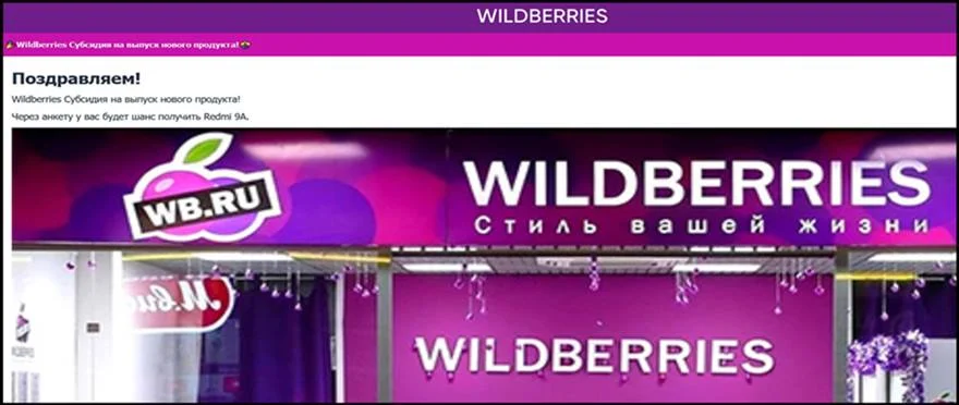 Wildberries Субсидия на выпуск нового продукта – отзывы, обман, развод!