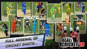 Real Cricket 3D 18 MOD APK+Data