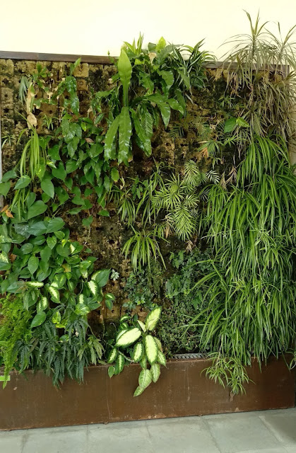 jardin vertical interior