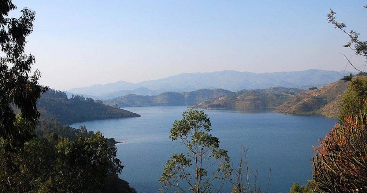 Must Know Advantages of Choosing Uganda Rwanda Safari Tour Packages