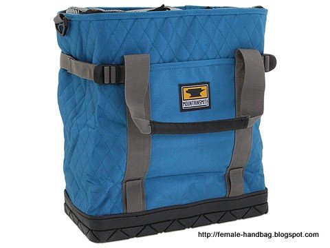 Female-handbag:female-1219283