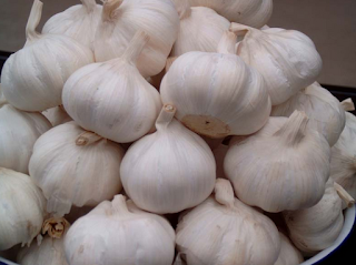 Manfaat Bawang Putih untuk Kesehatan dan Kecantikan serta  Cara Menggunakannya