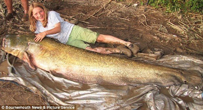 Pesce_Gatto_Mostruoso_Gigante_horror_immagine_foto