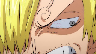 ワンピースアニメ ワノ国編 サンジ  | ONE PIECE Sanji  | Hello Anime !