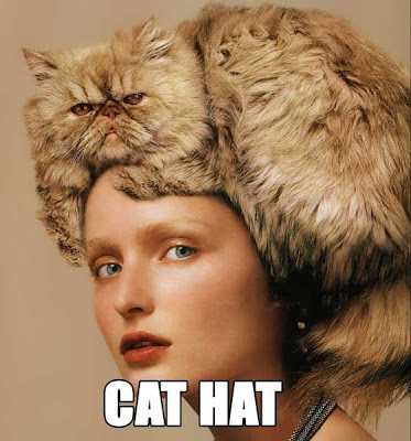 cat in hat. cat in hat hat. cat in hat