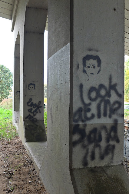 Graffiti: 'Look at me standing', Zevenaar. Foto: Robert van der Kroft