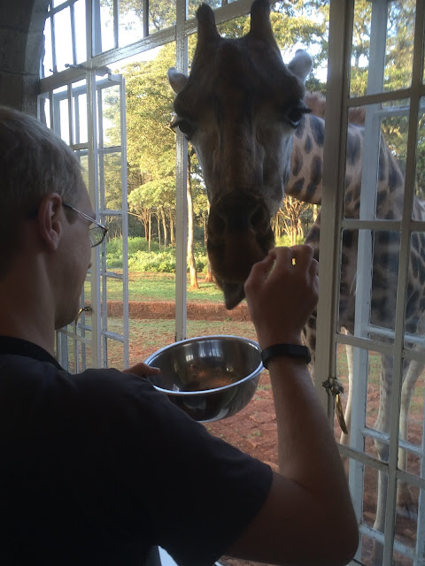 rothschild giraffe Giraffe Manor Nairobi Kenya