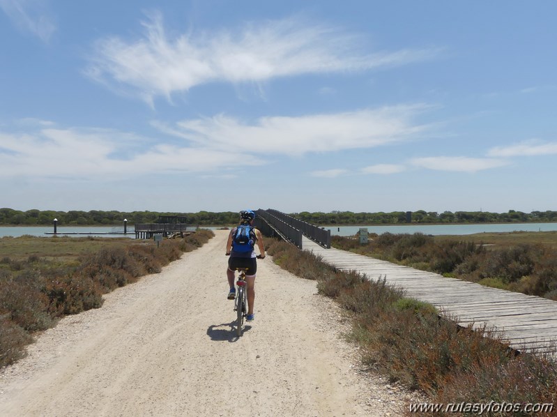 Bici Cádiz - Puerto de Santa María - Puerto Real - San Fernando - Cádiz