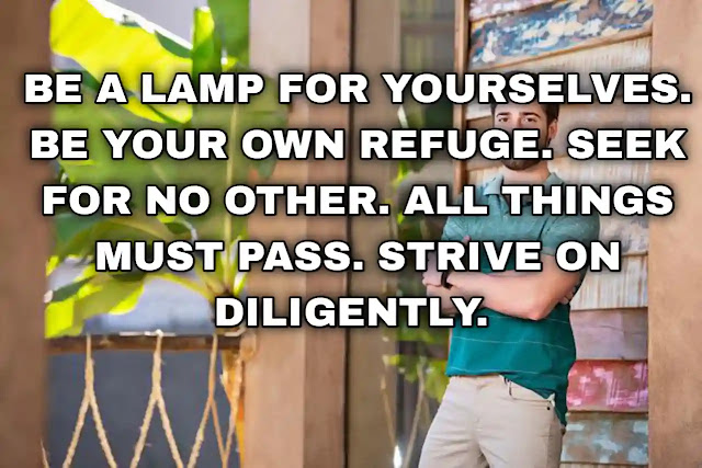 Be a lamp for yourselves. Be your own refuge. Seek for no other. All things must pass. Strive on diligently.
