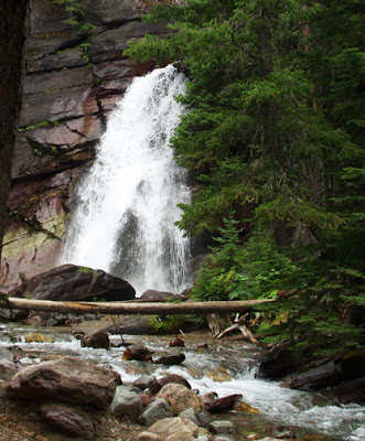 waterfall, forest, Glacier National Park, photo