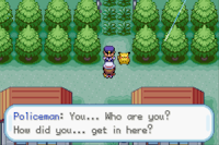 Pokemon Dreary Screenshot 00