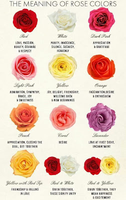 Rose wallpapers,(Rose photos,Rose pics,Rose pictures,Rose images,Rose day wallpapers,Flawers HD wallpaper)