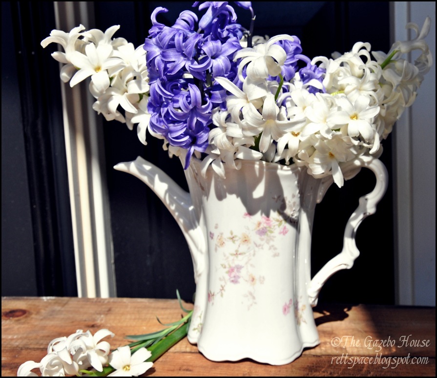 Liliacs 008