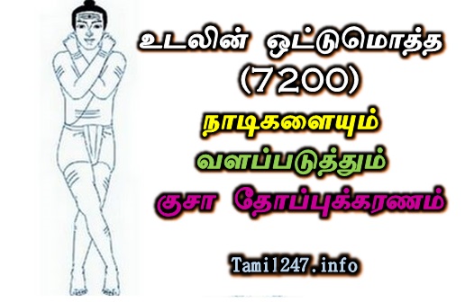 உடலின் ஒட்டுமொத்த நாடிகளையும் வளப்படுத்தும் குசா தோப்புக்கரணம் எப்படி போடுவது என தெரியுமா? 