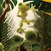 춤추는 개구리 Dancing Frog