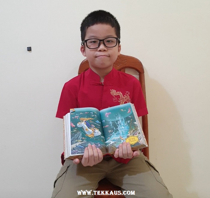 Book Review Geronimo Stilton Phoenix of Destiny