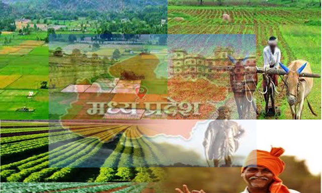 मध्य प्रदेश को बीमारू से समृद्ध राज्य बनाने में किसानो की भूमिका Madhya Pradesh Ko Bimaru Se Samruddh Rajya Banane Mein Kisano Ki Bhumika