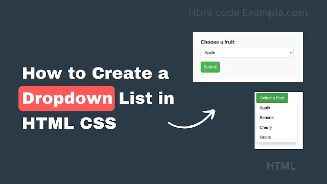 How to Create a Dropdown List in HTML CSS