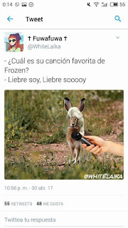 Frozen,liebre soy