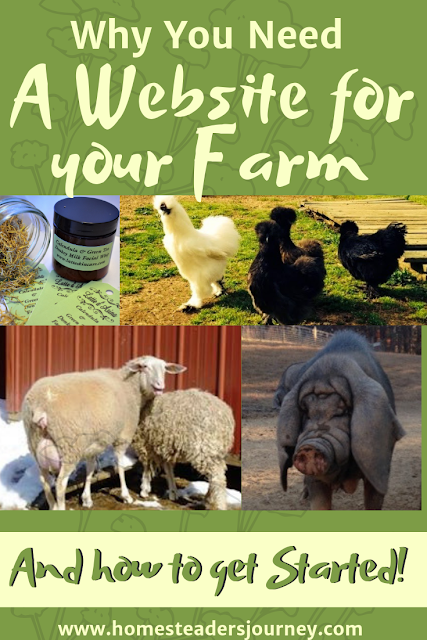 If you would like to sell livestock or products from your farm you will need a website! A good website has been key in getting our own homestead business going and profitable! #homesteadbusiness #homesteader 