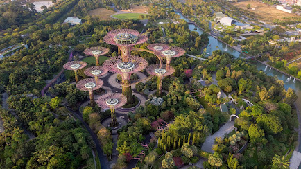 The Very Best and Worst time to Visit Singapore - When to Go and What to See