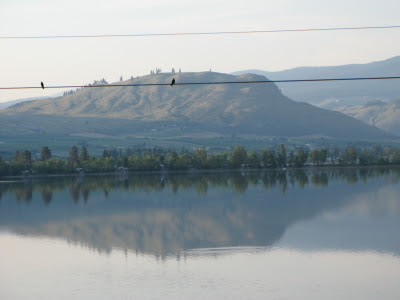 reflection