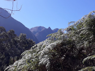 Trilha do Pico do Glória - Parque Nacional da Serra dos Órgãos