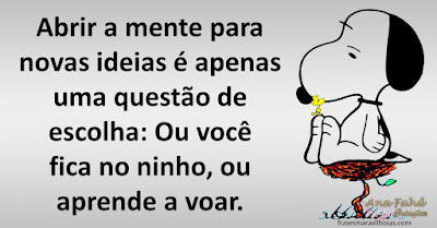 Abrir a mente para novas ideias é apenas uma questão de escolha: Ou você fica no ninho, ou aprende a voar.