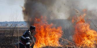 Ţigările aruncate la întâmplare produc incendii de vegetaţie uscată