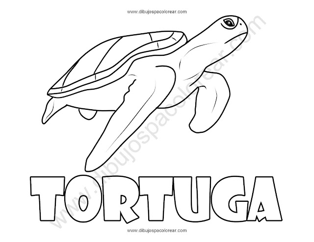 tortuga dibujo para colorear