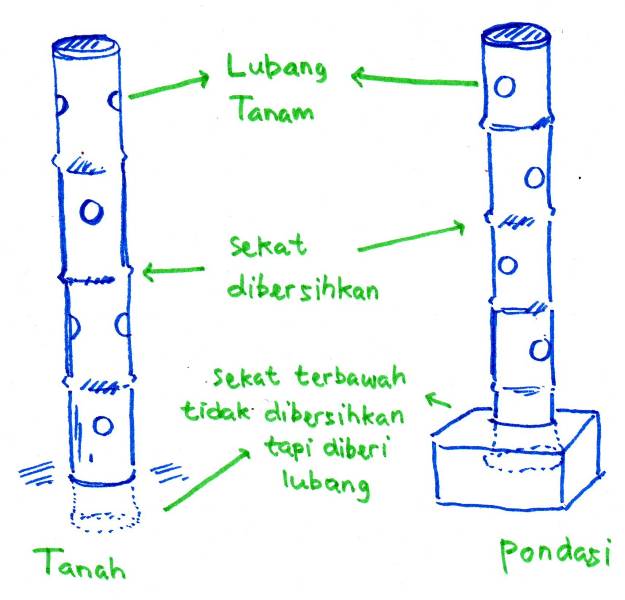 Lapak Hijau The Green Stall