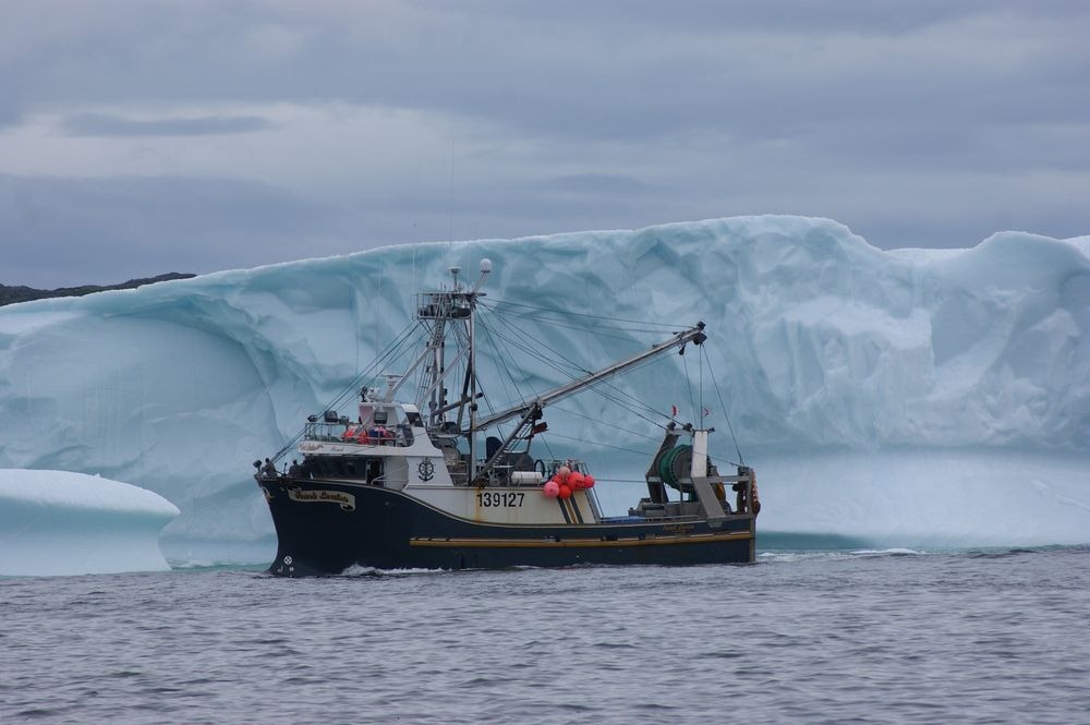 iceberg-alley-4