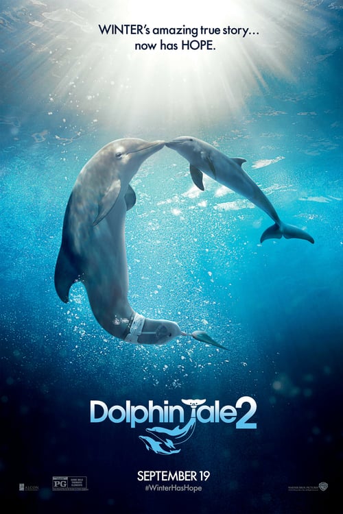 L'incredibile storia di Winter il delfino 2 2014 Film Completo Online Gratis