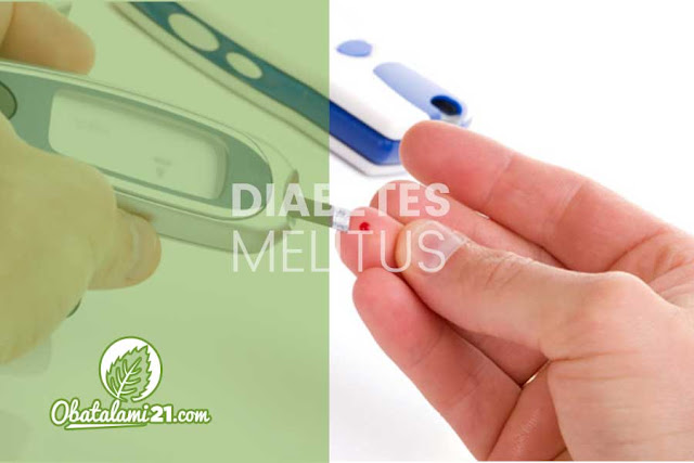 Obat Alami Penyakit Diabetes Melitus Paling Ampuh