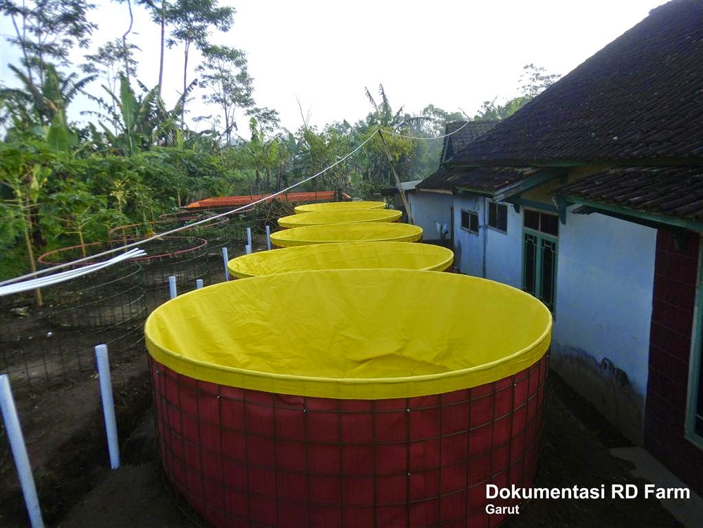 Panduan Membuat Kolam  Bulat Bundar dengan Rangka Wire mesh