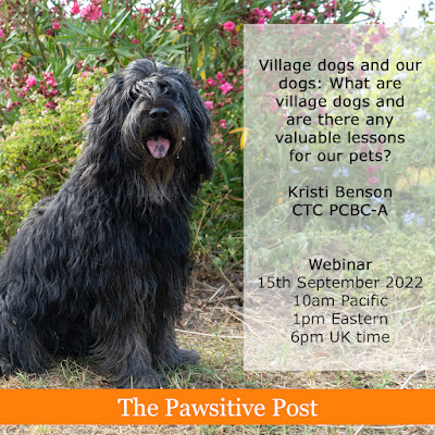 Events at The Pawsitive Post