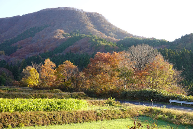 鳥取県日野郡江府町御机 城山