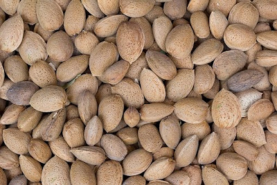 Foods To Keep Your Hair Healthy and Strong, hair loss, almond