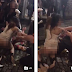 Woman Reveals Her Modesty While Fighting Another Woman In Public. Photos