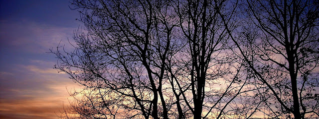 Good Night Sky Seen,wallpapers,image,pic,picture,photo,snap,3200 x 1200 resolution wallpaperstrees,trees wallpapers,night sky wallpapers,sky wallpapers,purple sky wallpapers