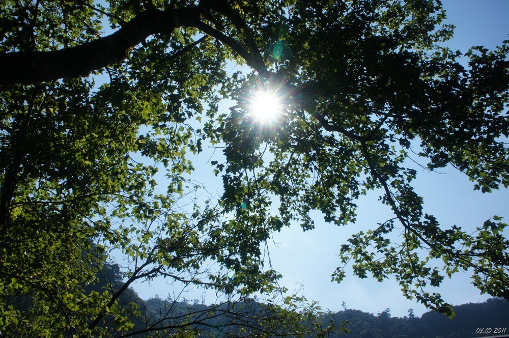 DSC00175
