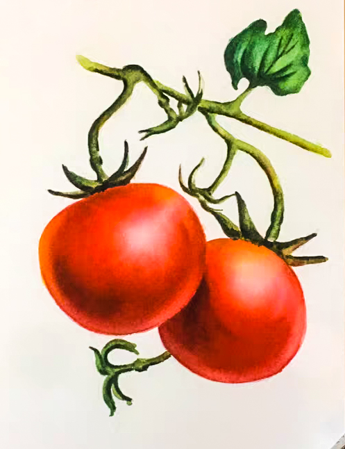 26 Watercolor ideas of flower fruit ，Where is Watercolor from？come to see my collection