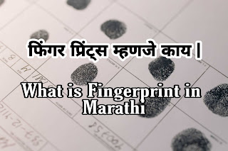 Finger Prints  म्हणजे काय | What is Fingerprint in Marathi