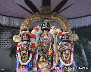 Sri Narasimha Swamy, Dhavana Utsavam, Theliya Singar, Azhaiya Singar,Thirumanjanam, Purappadu,  Triplicane,  Purappadu, Thiruvallikeni, Utsavam
