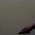 Butterfly Knife Quick Draw