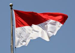 flag of Indonesia