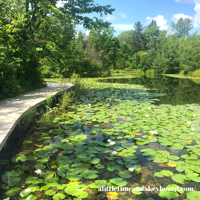 Mystery Lake effortlessly engages the sense of wonderment at Schlitz Audubon Nature Center in Milwaukee