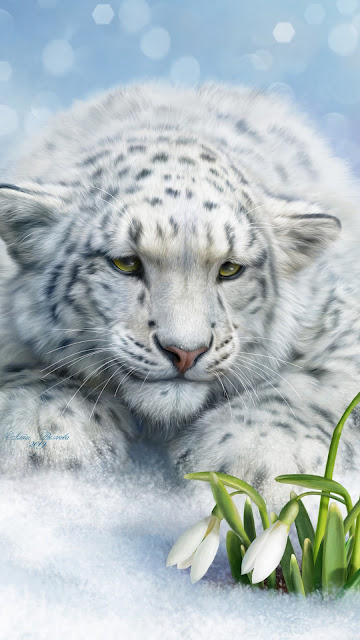 Wallpaper Leopard, Big Cat, White, Art